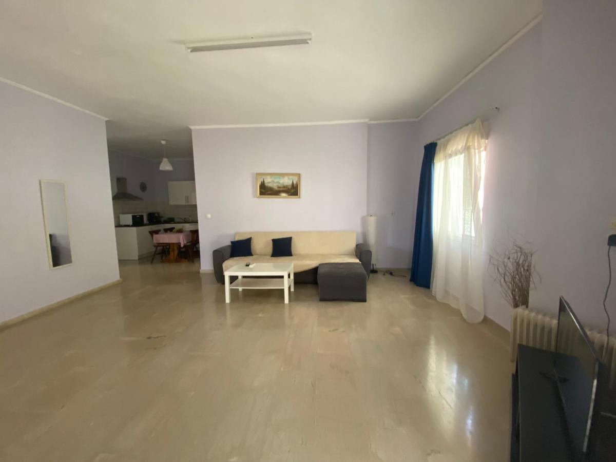 Vasilikis Apartment بريفيزا المظهر الخارجي الصورة